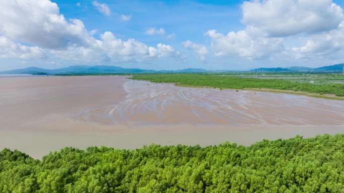 4k广东江门银湖湾湿地公园红树林航拍延时