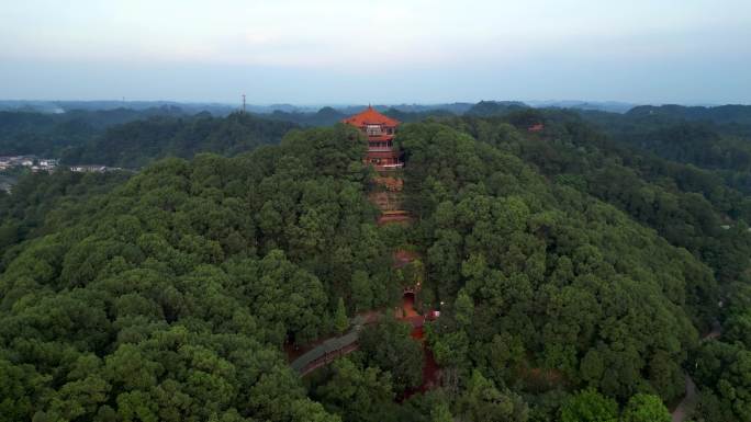 12组 乐山 乐山大佛 灵宝塔