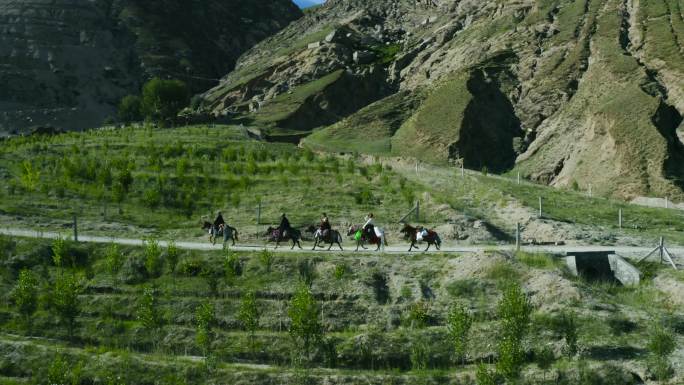 赛马队伍西藏藏藏族高原山地山地上骑马勇士