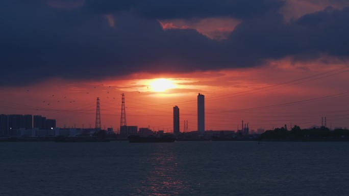 日落黄昏夕阳唯美天空云彩晚霞海鸥飞过