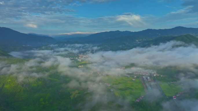 绵延起伏的茶山云海