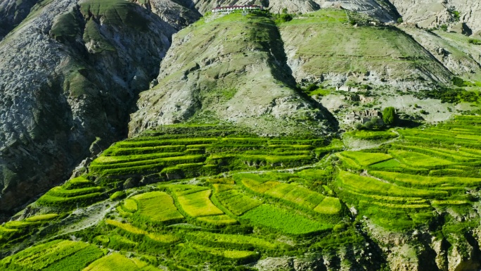 谷物 绿色植物 高山 石头 山块 梯田