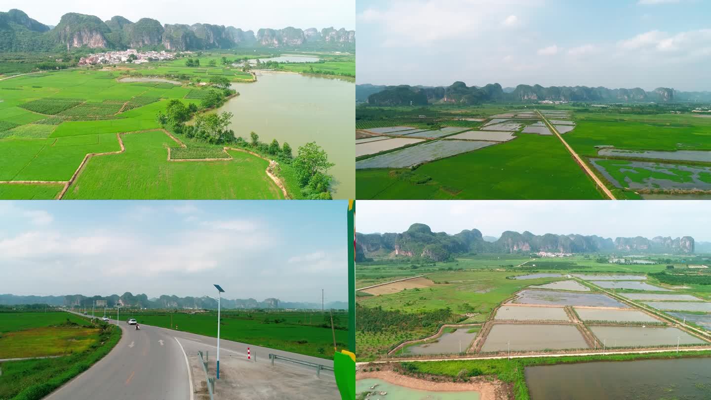 广西南宁市上林县香米种植示范区