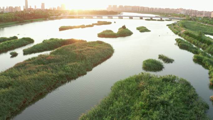 城市湿地生态河流