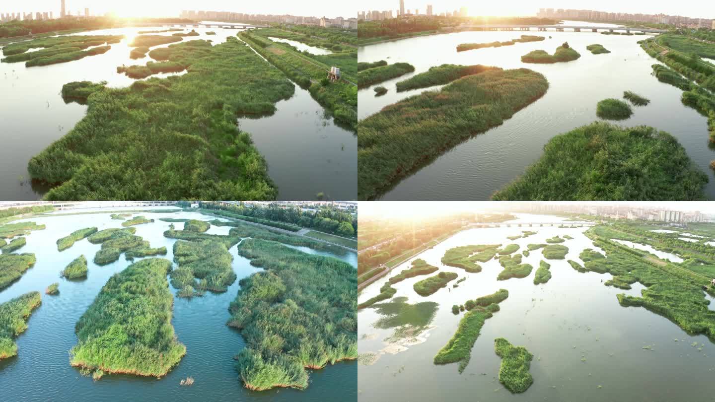 城市湿地生态河流
