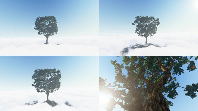 4K云端生命之树