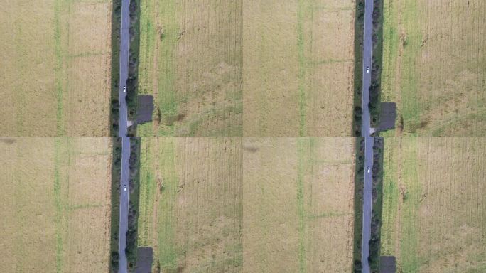 4k航拍青海门源油菜花公路