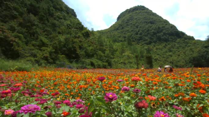 歌娅思谷 风景-1