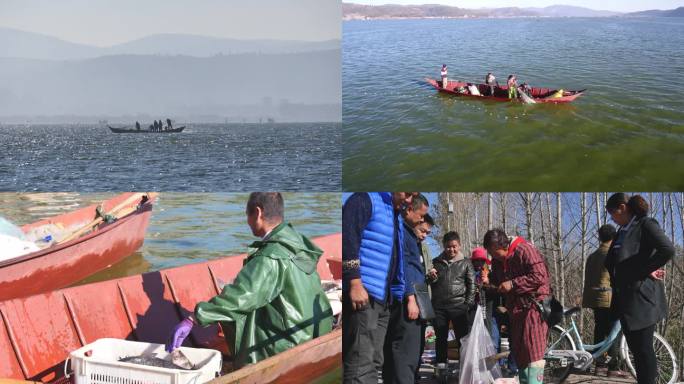 玉溪江川星云湖捕鱼4K