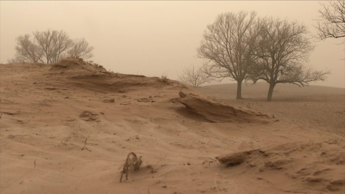 土地干旱沙化地貌