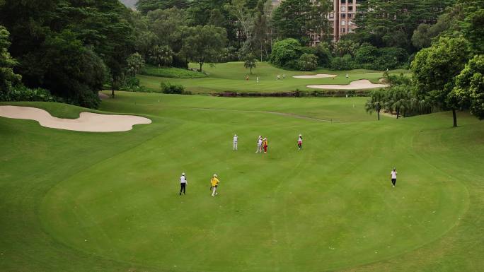 4K航拍深圳观澜湖高尔夫球场