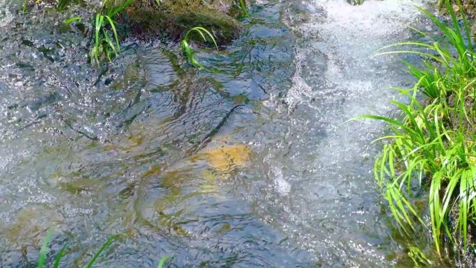 河边流水河流河水小溪唯美山泉泉水水流慢动