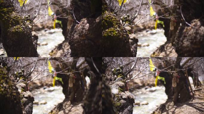 山水田园 大树下 小河流水 枯木 枯树