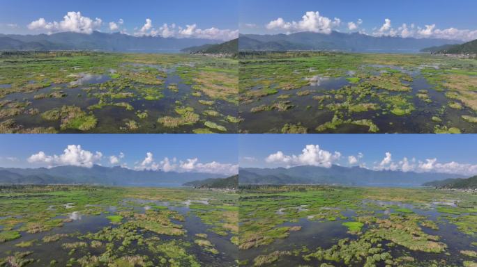 航拍泸沽草海 高原湖泊泸沽湖