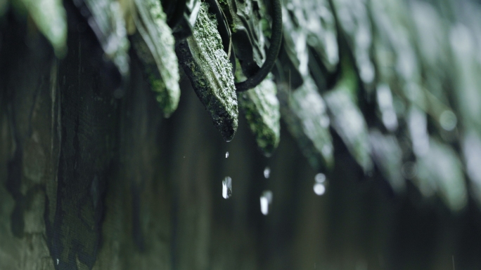 雨天意境