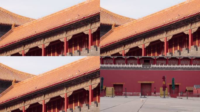 北京故宫午门燕雀楼和广场上的鸽子