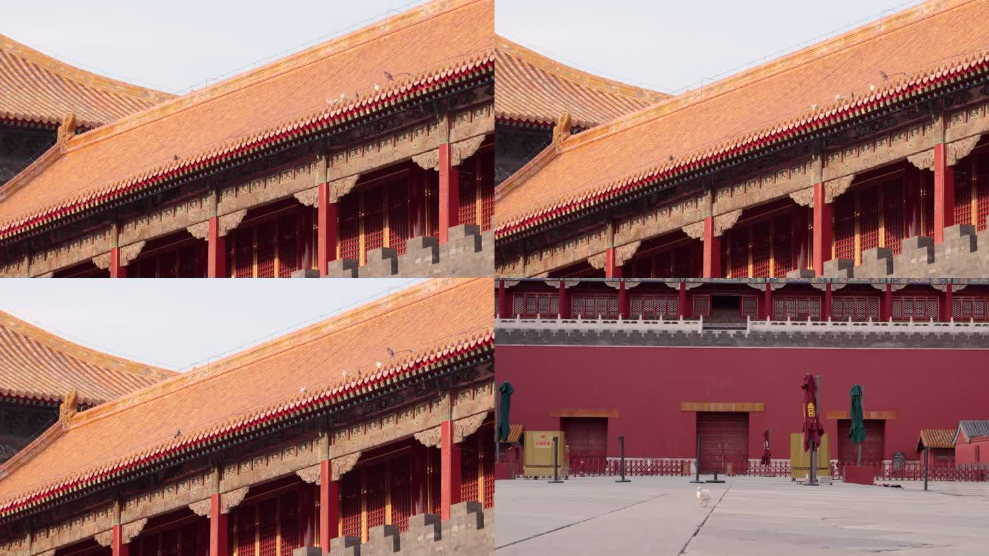 北京故宫午门燕雀楼和广场上的鸽子