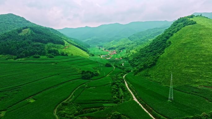 山里面的山村