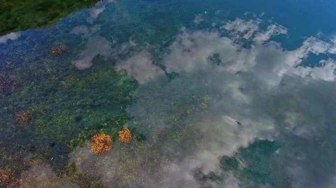 九寨沟则查洼沟上季节海秋色