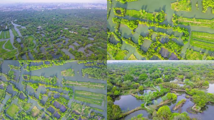 最新杭州西溪湿地航拍4K