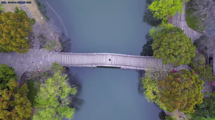 杭州湘湖景区 桥 林荫小道