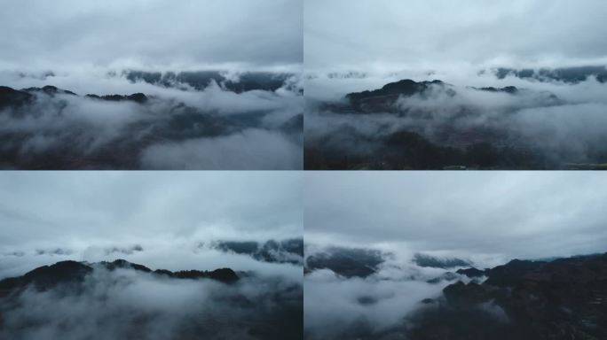 神秘云雾大山