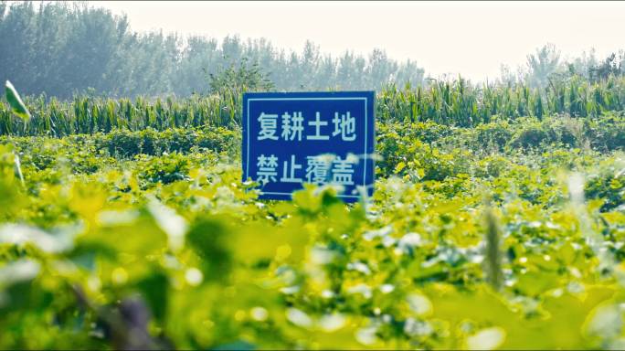 复耕土地禁止覆盖警示牌