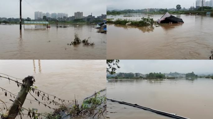 台风暴雨水淹农田稻田洪水淹没绿树河水暴涨