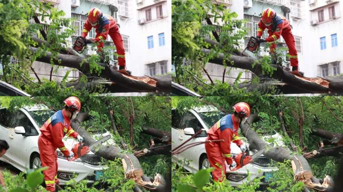 广东消防珠海救援伐树台风灾害树木倒塌