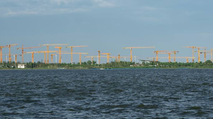 临港新片区滴水湖金融湾建设中的塔吊