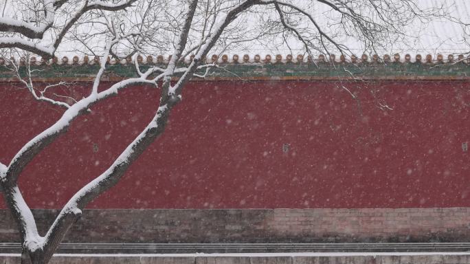 高清实拍故宫雪景红墙和飘雪