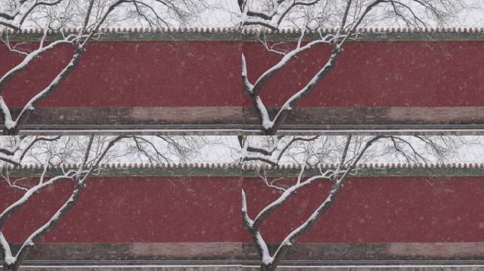 高清实拍故宫雪景红墙和飘雪