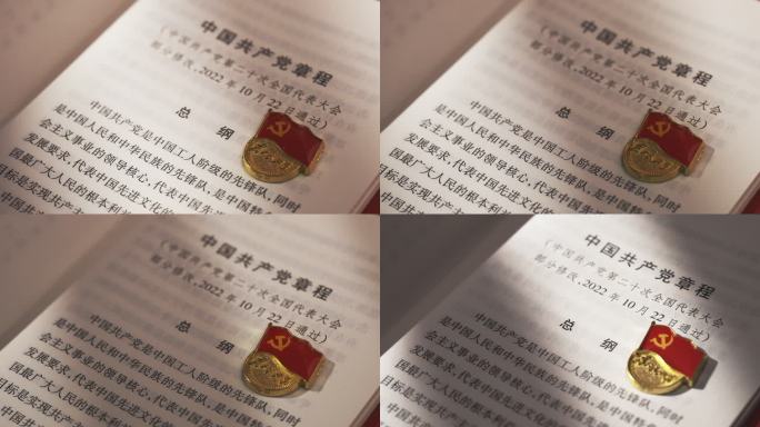 党章党徽党员学习中国共产党章程