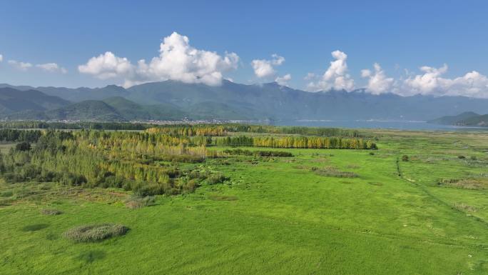 航拍泸沽草海 高原湖泊泸沽湖