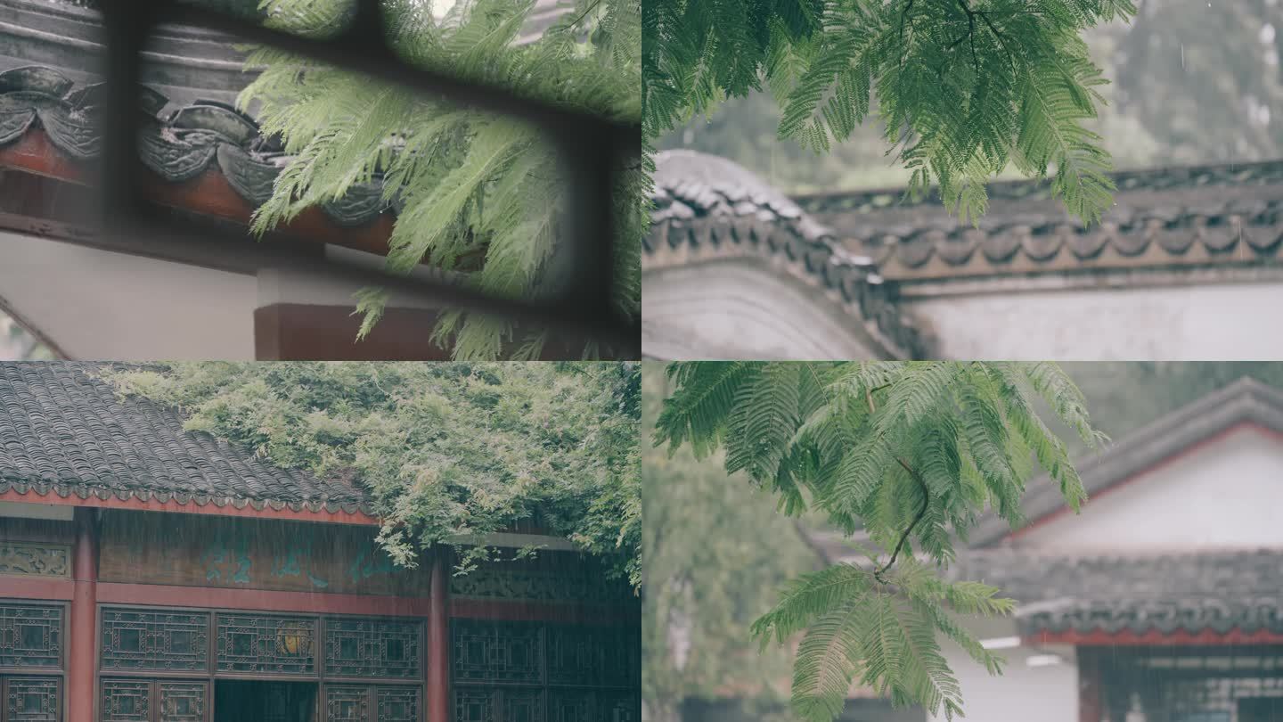雨中的中式建筑青瓦屋檐与绿叶植物