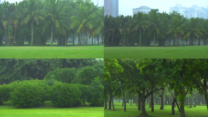 下雨天公园景观