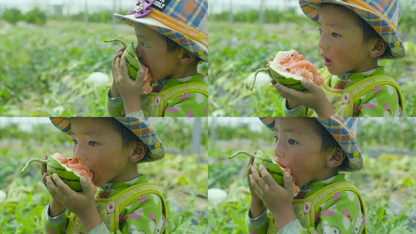 小孩在吃西瓜 小孩子在西瓜地吃西瓜