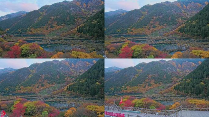 航拍九寨沟树正群海秋林秋色