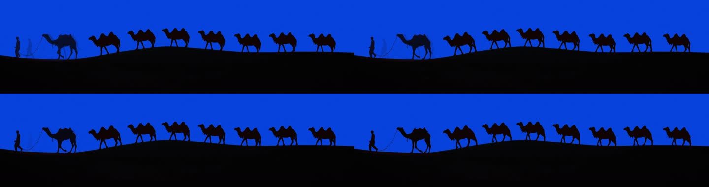 4K宽屏骆驼商队剪影