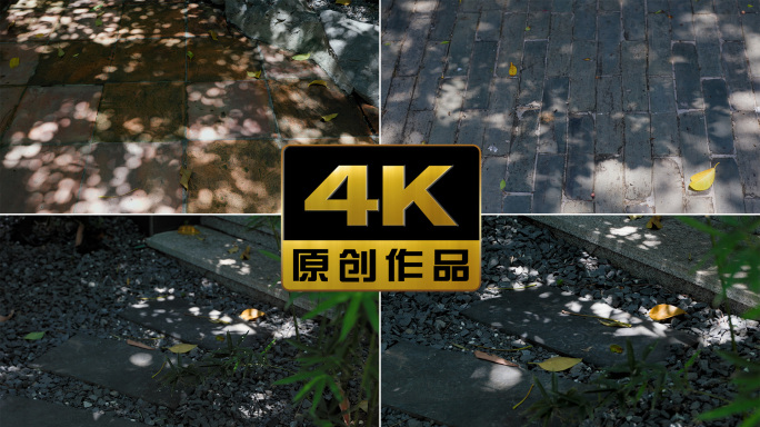 树枝阴影斑驳光影写意空镜