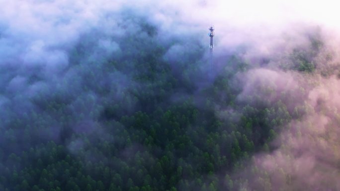 云雾磅礴原始森林