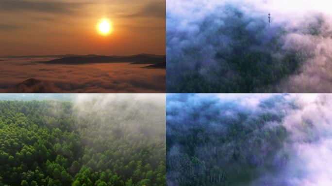云雾磅礴原始森林