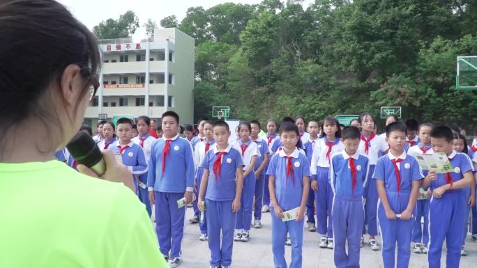 深圳中小学 禁毒宣传 健康 校园 学生