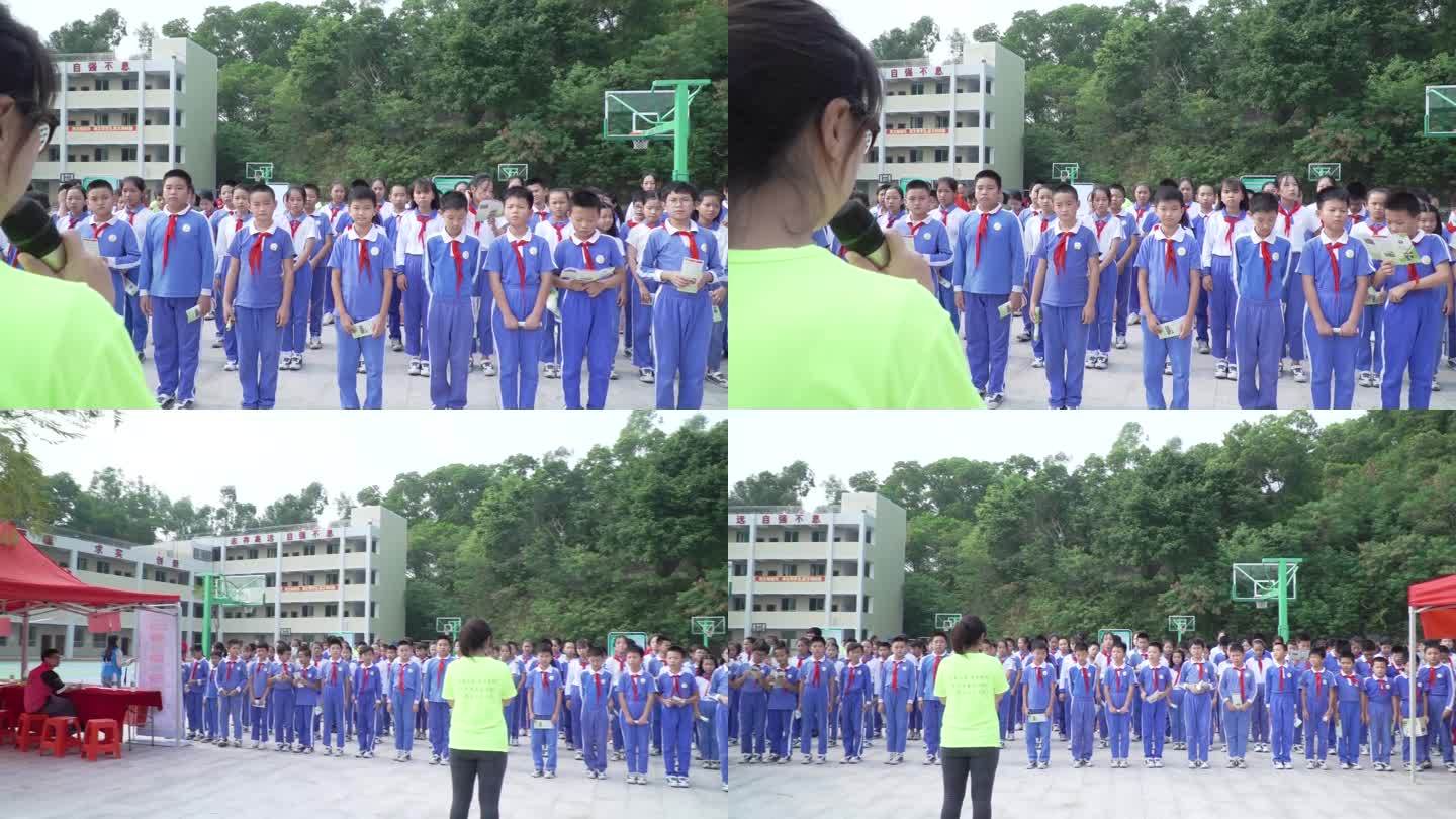 深圳中小学 禁毒宣传 健康 校园 学生