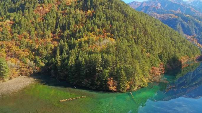 航拍四川九寨沟日则沟镜海清晨