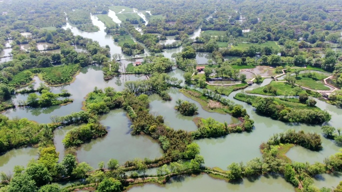 浙江杭州西溪湿地4K航拍