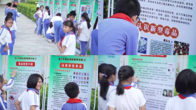 深圳 中小学 禁毒宣传 校园 健康