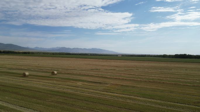 新疆农业草场