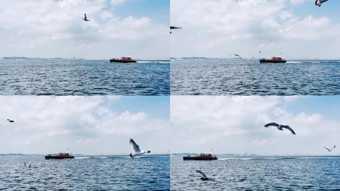 海面上飞翔的海鸥鸟行驶的轮船大海蓝天白云