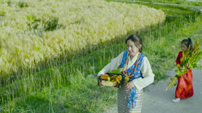 女子 乡村建设 走在乡村路上 唯美农田